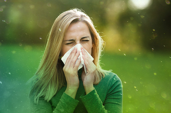 Pollenallergie